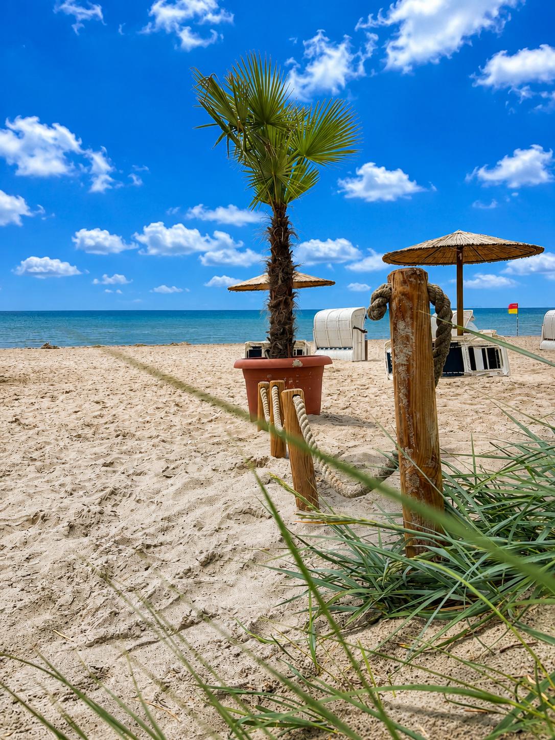 Palme am Strand
